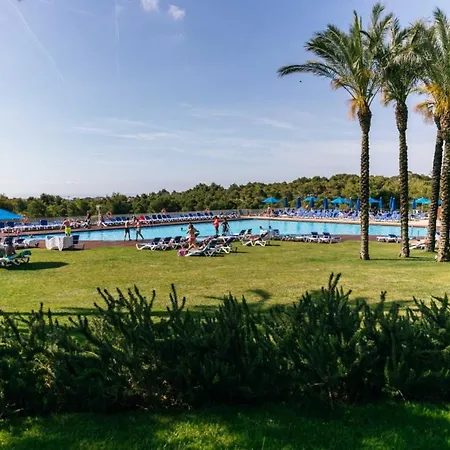 Resort S No 800